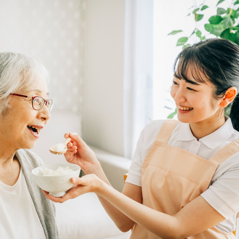 介護予防訪問介護